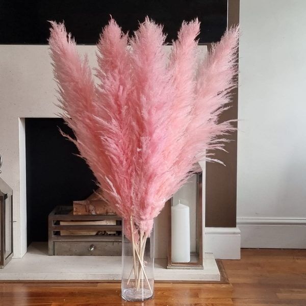 CORTADERIA DYED LIGHT PINK (PAMPAS GRASS) 120cm