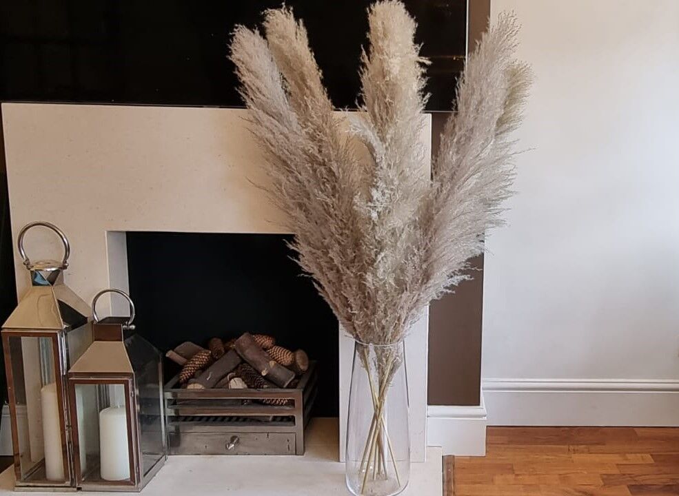 CORTADERIA DYED LIGHT PINK (PAMPAS GRASS) 120cm