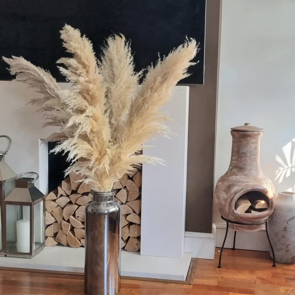 Pampas Grass Large black Fluffy Dried pampas arrangement • Leather Leather  Furniture Gallery : Leather Leather Furniture Gallery